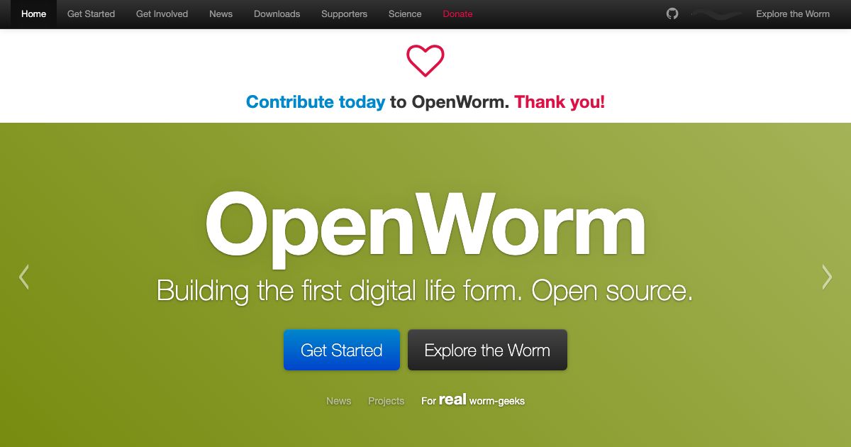 Screenshot of web page.